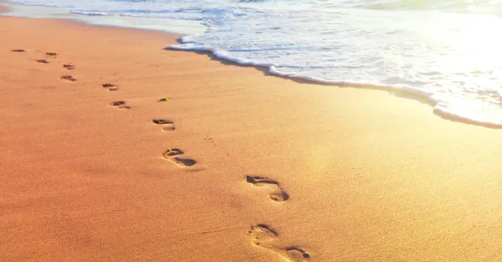 Essere o non essere (pronti)?